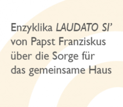 Read more about the article Die Enzyklika Laudato Si´: Schöpfungsspiritualität praktisch gedacht
