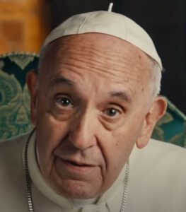 Read more about the article Papst: „Zerstörung der Schöpfung stoppen“