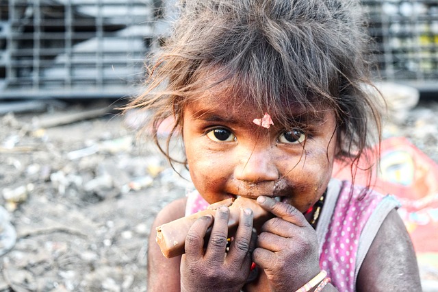 Read more about the article 735 Millionen Menschen hungern
