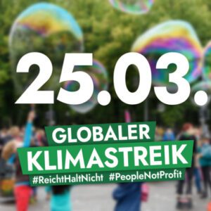 Read more about the article Ankündigung Globaler Klimastreik am 25.03.22