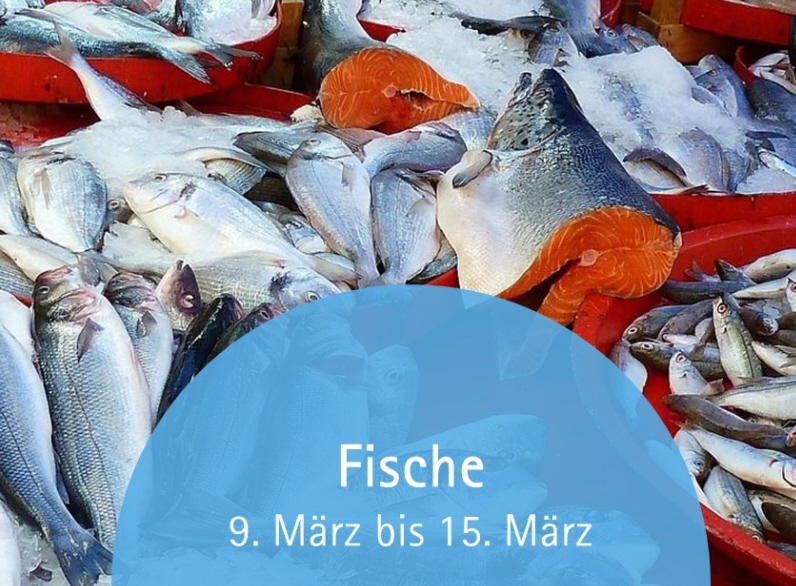Read more about the article Klimafasten #Fische