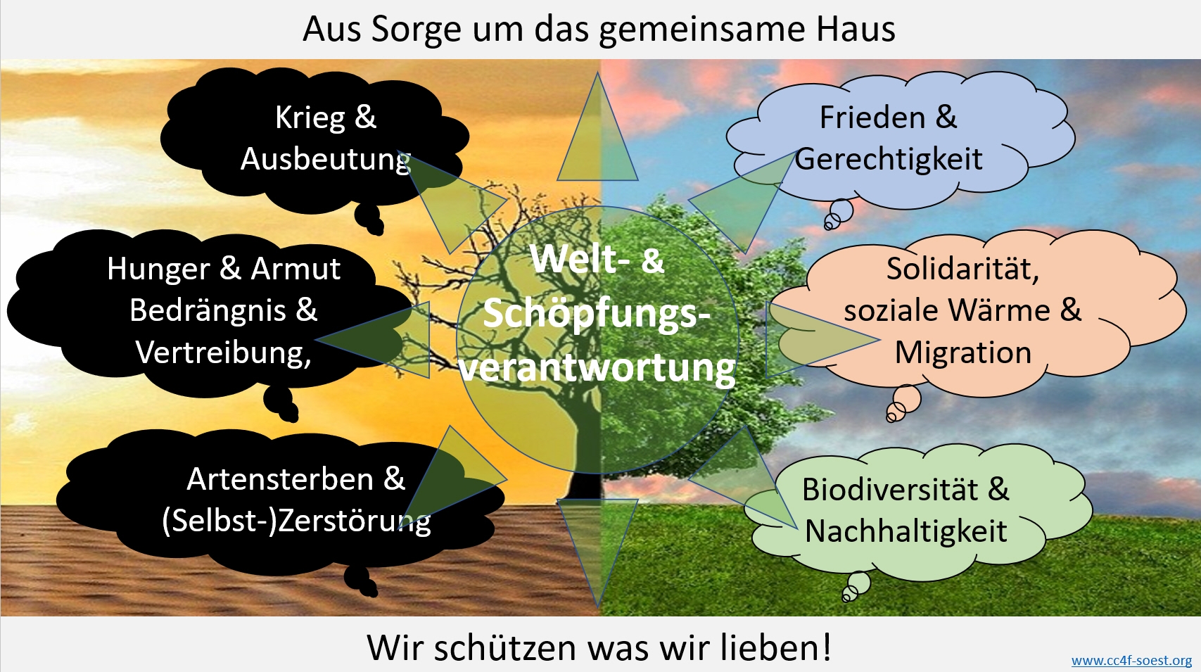 Read more about the article Schöpfungsverantwortung als Querschnittsthema denken