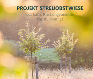 Read more about the article Streuobstwiese in Hamm-Heessen