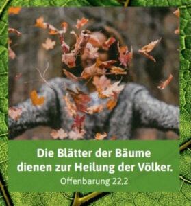 Read more about the article „Blätter – Bäume – Bibel“