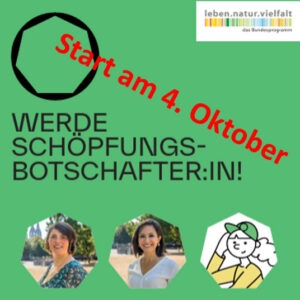 Read more about the article WERDE SCHÖPFUNGS-BOTSCHAFTER:IN