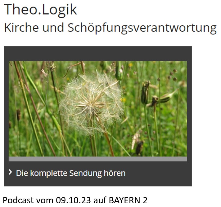 Read more about the article Theo.Logik: Kirche und Schöpfungsverantwortung