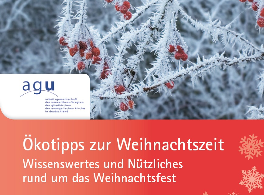 Read more about the article Ökotipps zur Weihnachtszeit