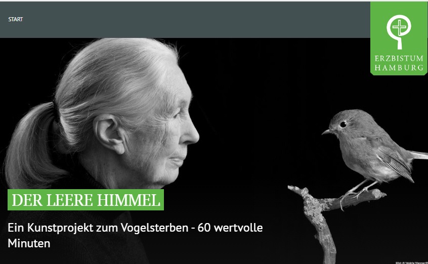 Read more about the article DER LEERE HIMMEL