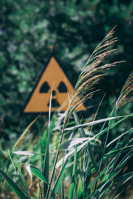 Read more about the article Mahnwache anlässlich der Reaktorkatastrophe von Tschernobyl
