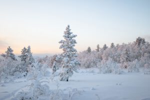 Mehr über den Artikel erfahren Klima(krise) im Advent – „I’m dreaming of a white Christmas“