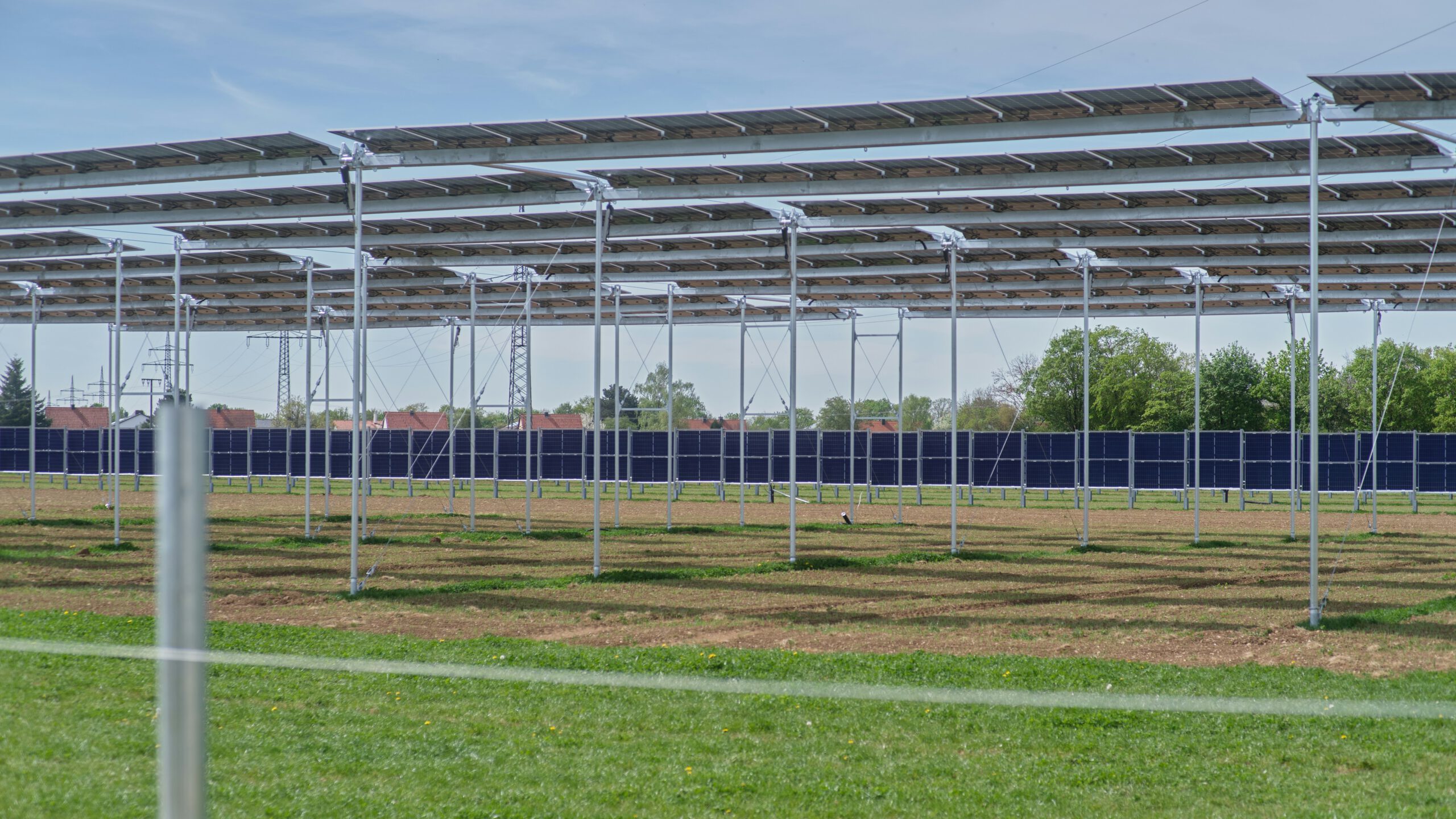 Mehr über den Artikel erfahren Papst Leo besucht Getreidefeld: Hier entsteht größte Agri-PV der Welt