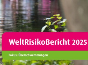 Mehr über den Artikel erfahren WeltRisikoBericht 2025 mit Fokus Überschwemmungen