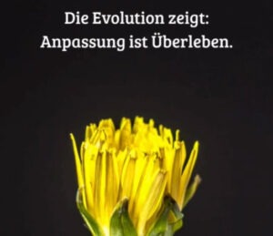 Mehr über den Artikel erfahren Anpassung und Gerechtigkeit