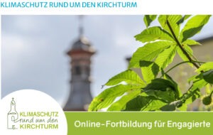 Mehr über den Artikel erfahren Klimaschutz – Besonders für Kirchen essenziell