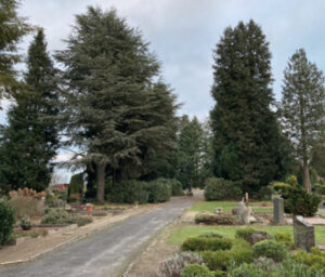 Mehr über den Artikel erfahren Biodiversität auf Friedhöfen – mit Signalwirkung